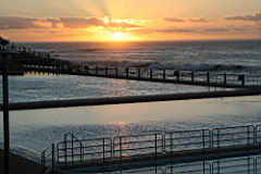 green point swim IMG_1845.JPG